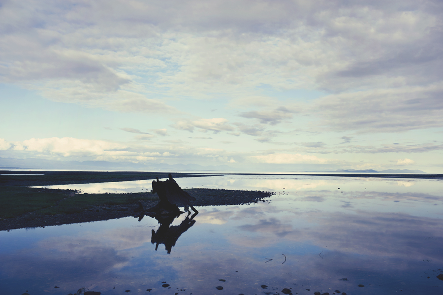 summer dreams, as the cold arrives…