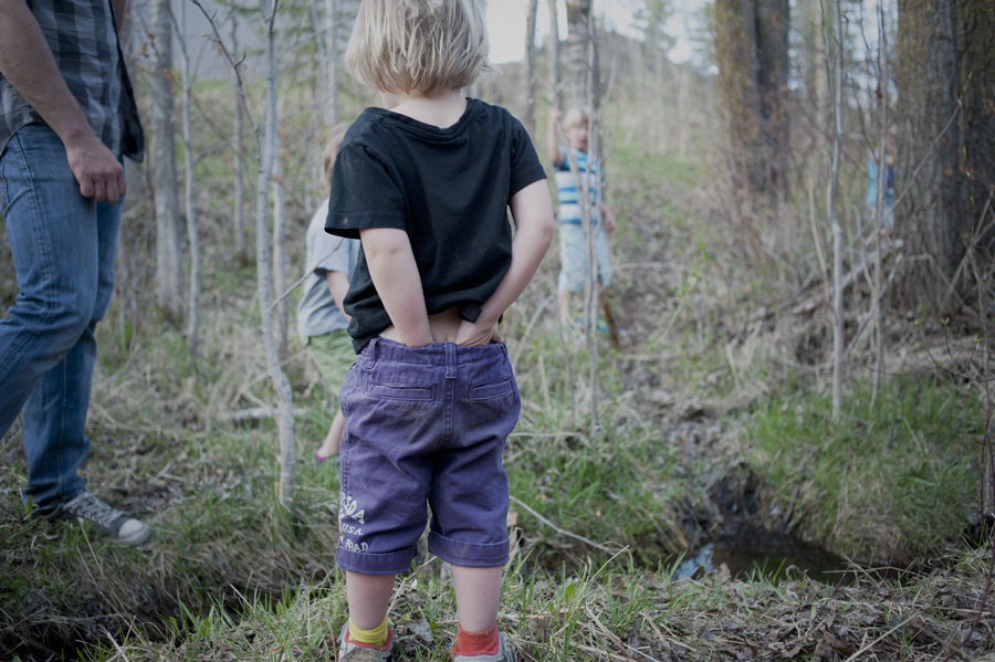 sticks and streams